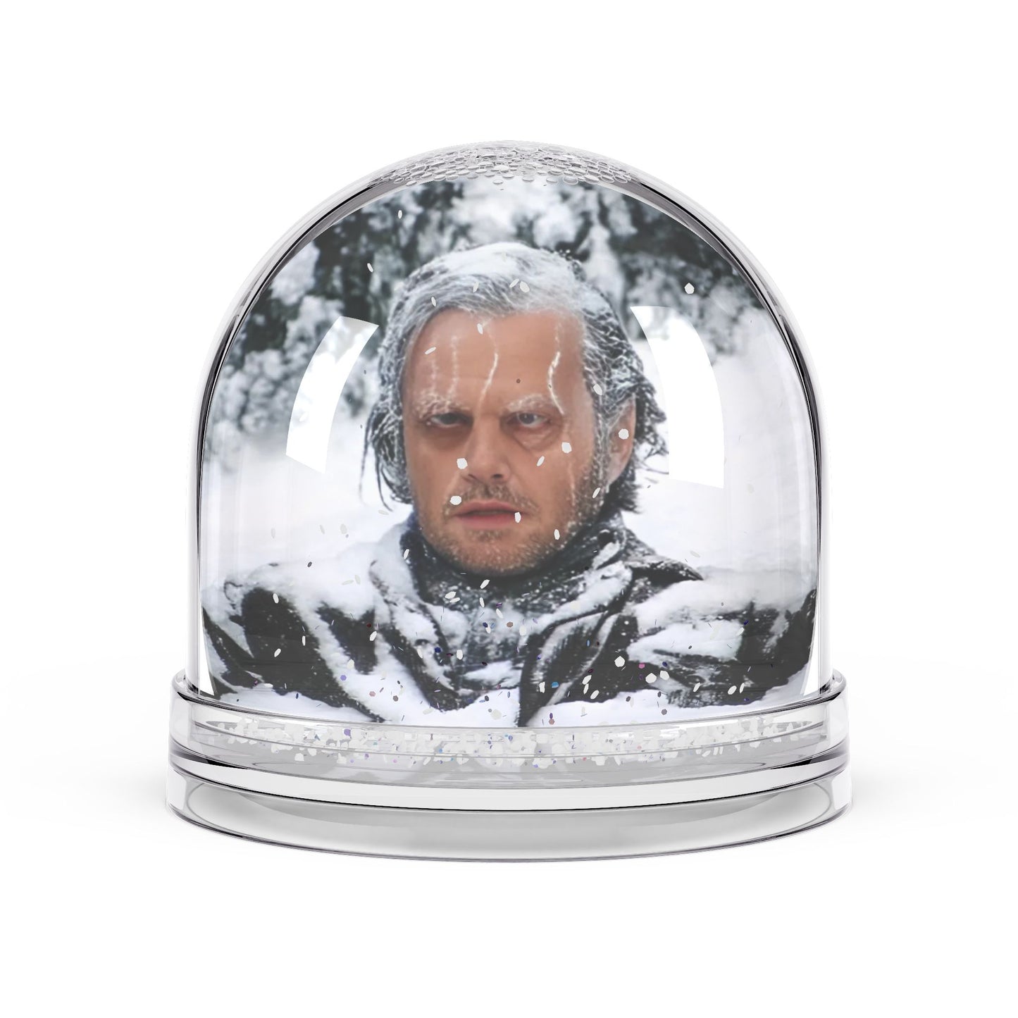 The Shining, Snow Globe, Jack Torrance, Maze, Horror Gift, Movie Fan Present