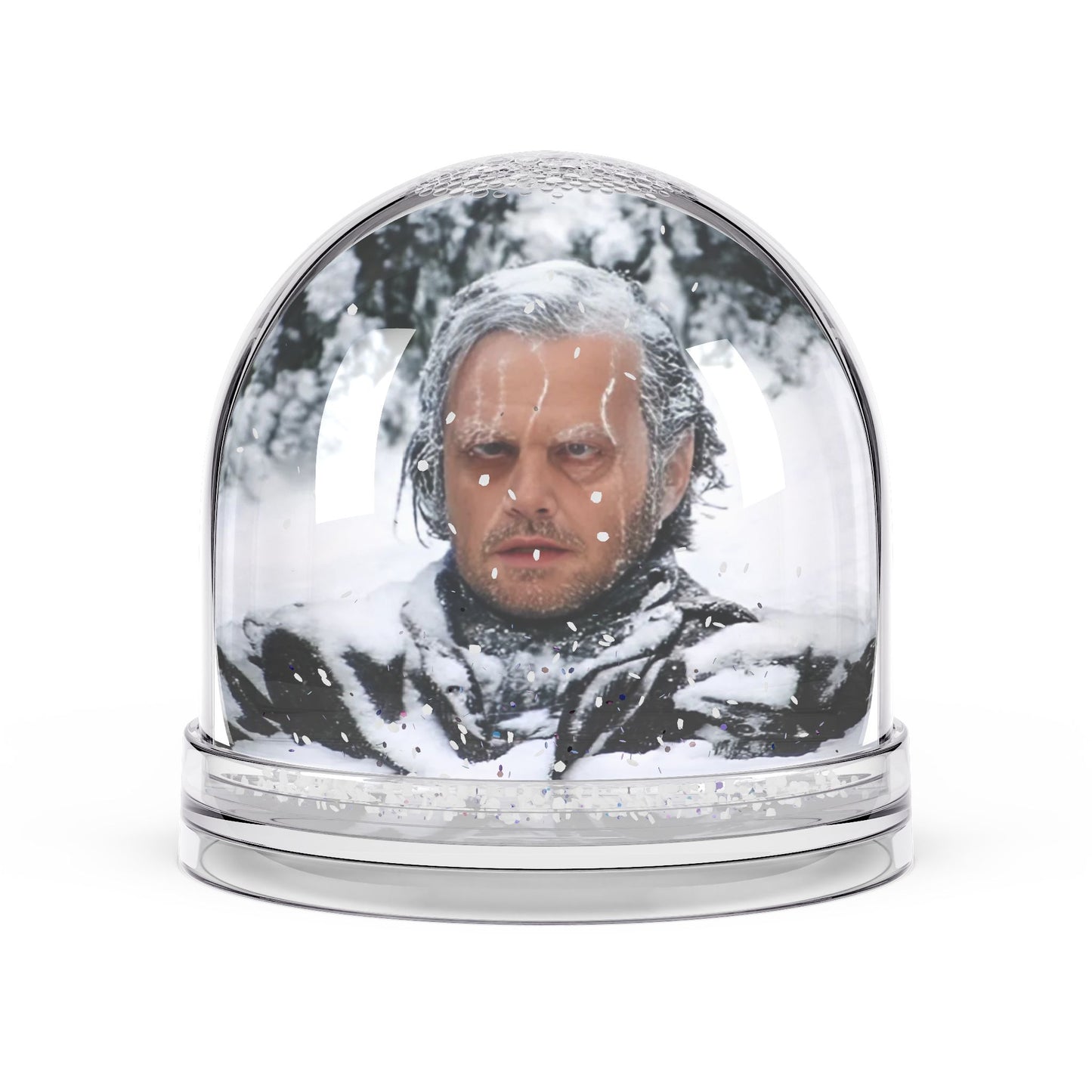 The Shining, Snow Globe, Jack Torrance, Maze, Horror Gift, Movie Fan Present